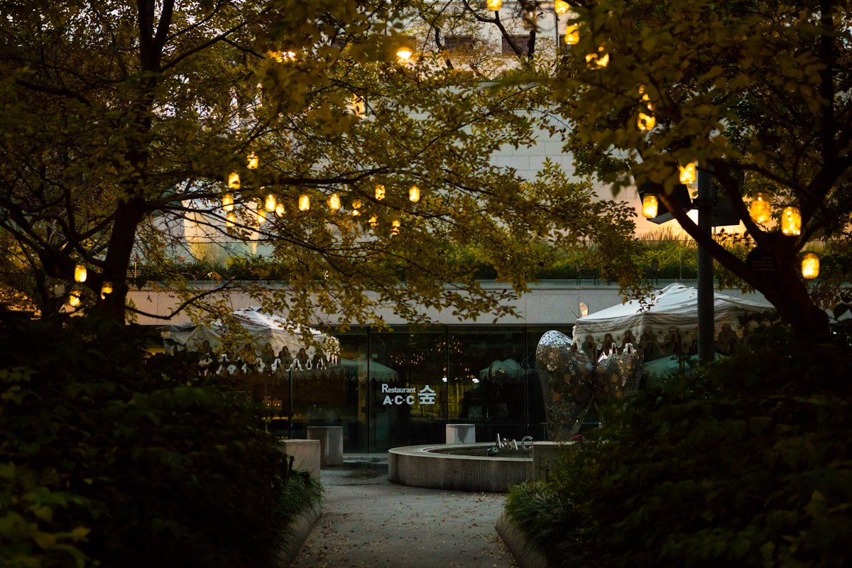 Festive String Lights at Outdoor Party — Ultimate Party Rentals