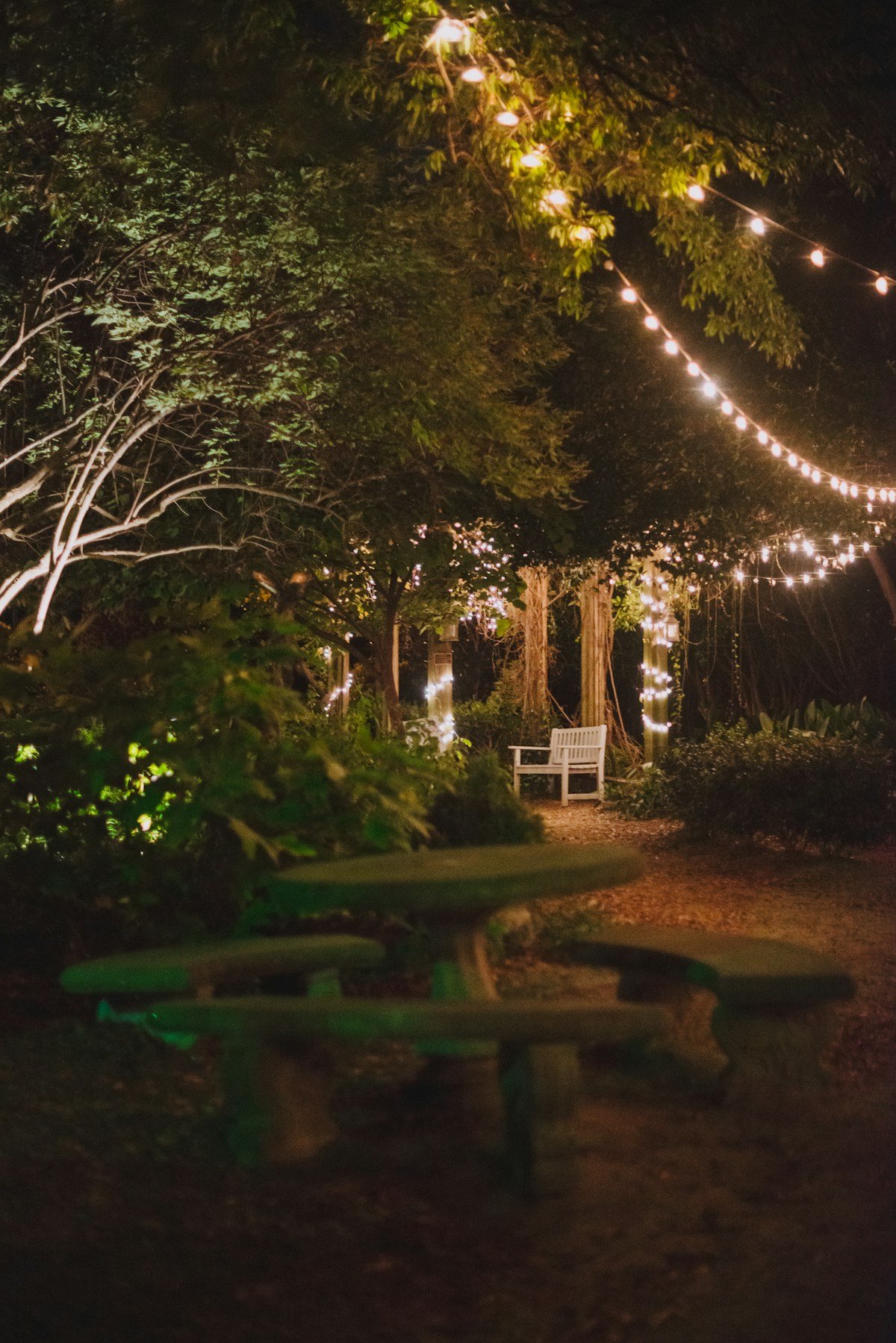 Professional Stage Lighting at Live Event — Ultimate Party Rentals